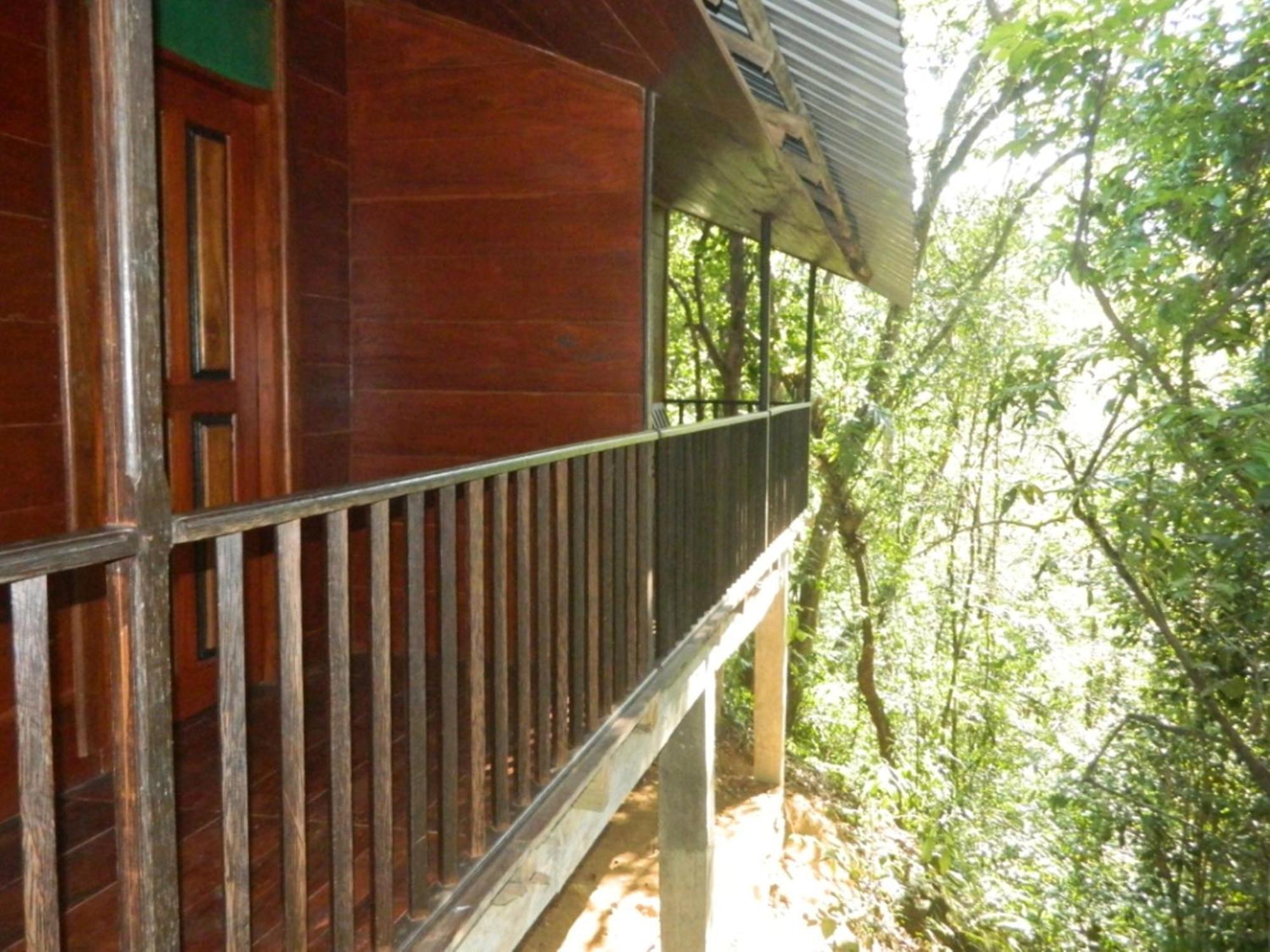 Birds Paradise Hotel Kudawe Room photo